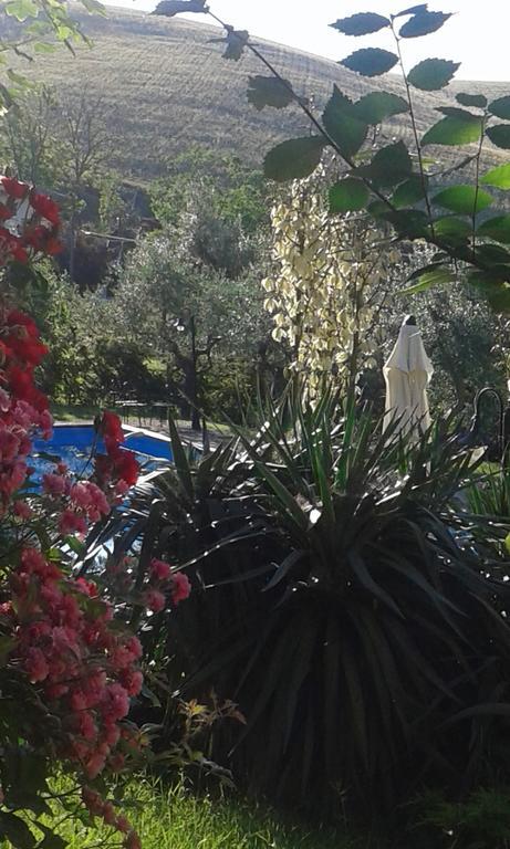 فيلا Agriturismo La Solagna Montebello di Bertona المظهر الخارجي الصورة