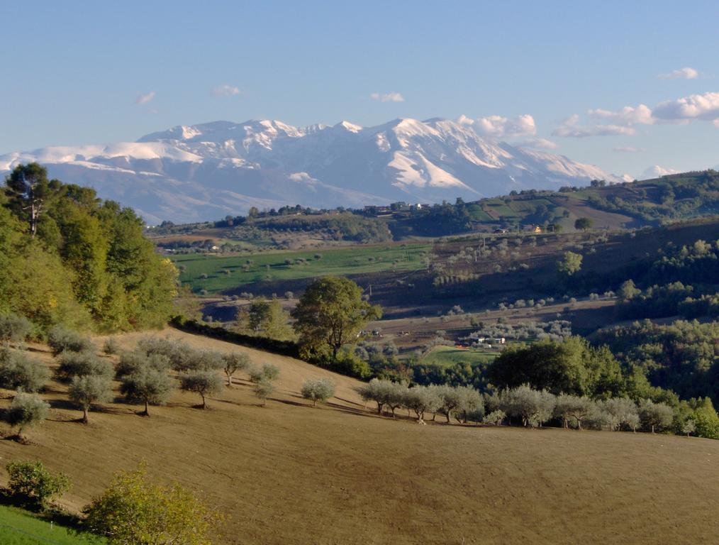 فيلا Agriturismo La Solagna Montebello di Bertona المظهر الخارجي الصورة